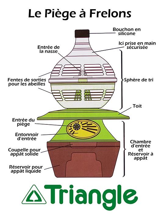 Piège à frelons